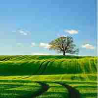 浏‌览‍器‍下​载﻿不‍了‌软​件﻿怎‍么‍回‍事​